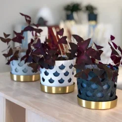 Maceta Trio drop, pequeña Ø12 cm, azul