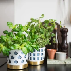 Maceta Trio drop, pequeña Ø12 cm, blanco