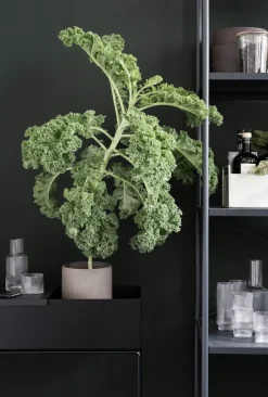 Macetero Plant Box ferm LIVING, negro