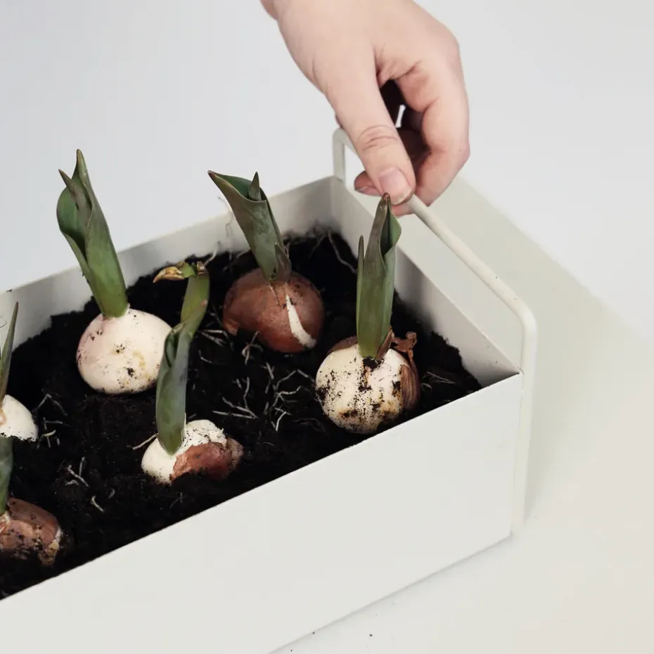 Macetero Plant Box S, gris claro