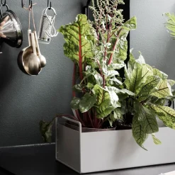 Macetero Plant Box S, gris claro