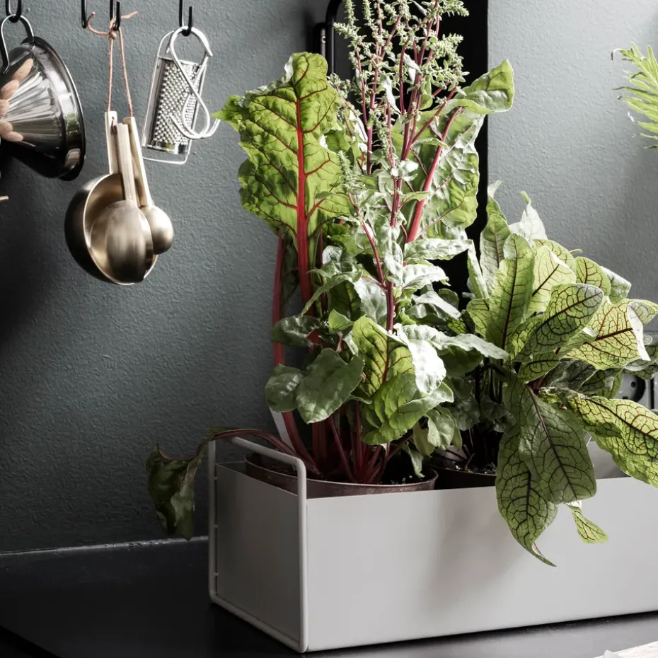 Macetero Plant Box S, gris claro