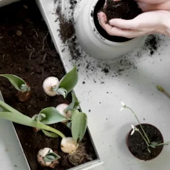 Macetero Plant Box S, gris claro