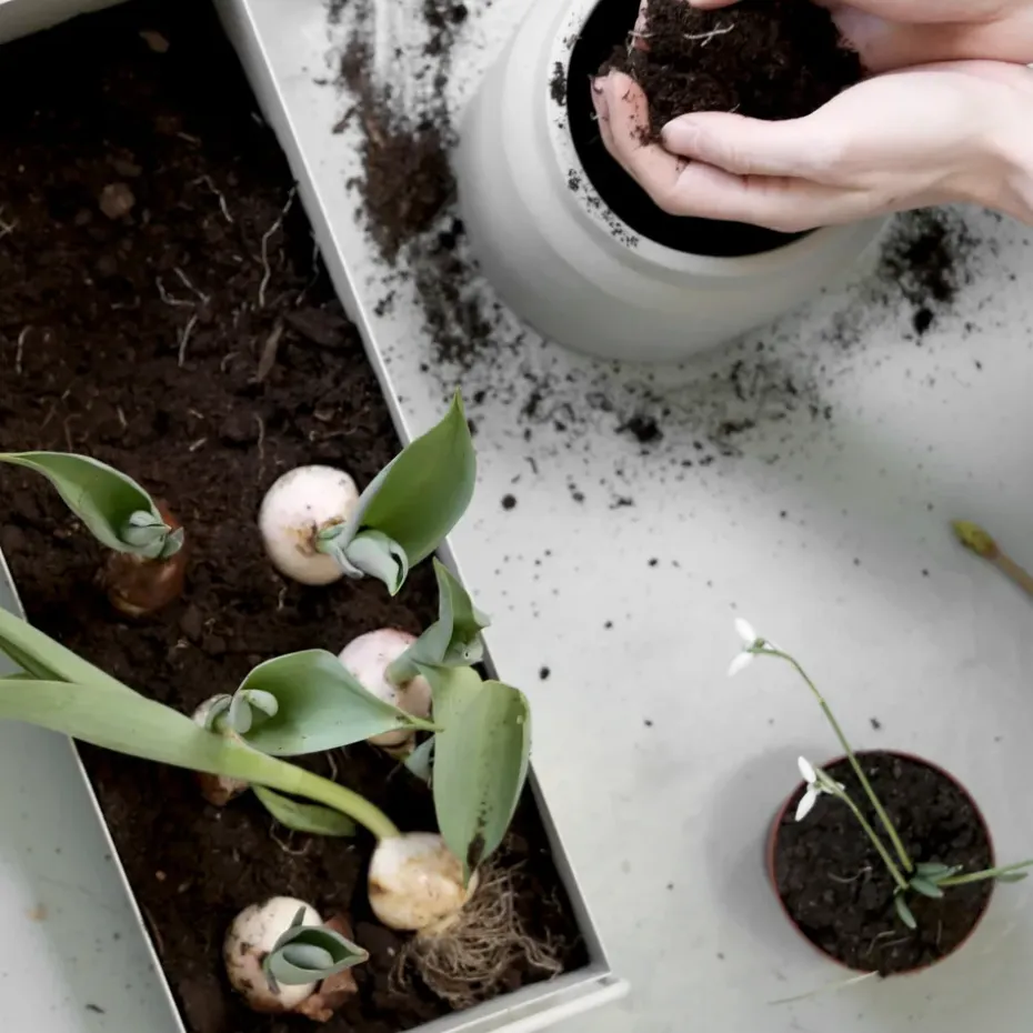 Macetero Plant Box S, gris claro