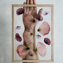 Marco Moebe Frame A4, Roble