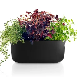 Organizador de hierbas con auto-riego Eva Solo, negro