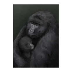 Póster Bergsgorillan, 30x40 cm