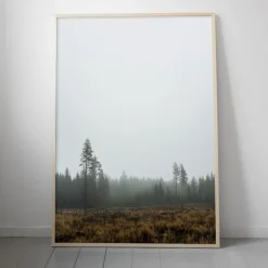 Póster Skog, 70 x 100 cm