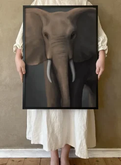 Póster Skogselefant, 50x70 cm
