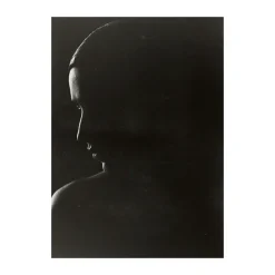 Póster The Silhouette, 30x40 cm