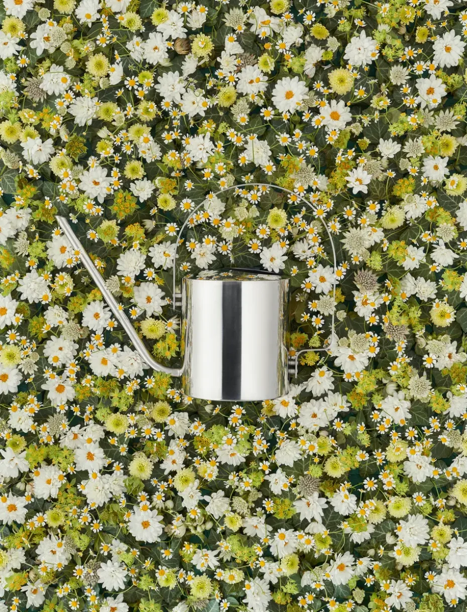 Regadera Original 1,7 l, acero inoxidable