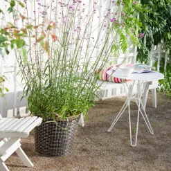 Saco para plantar Korbo 3 piezas, 65 L