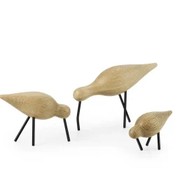 Shorebird, roble-negro, grande