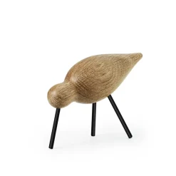 Shorebird, roble-negro, mediano