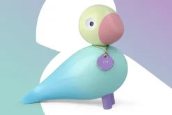 Story bird, Alegría