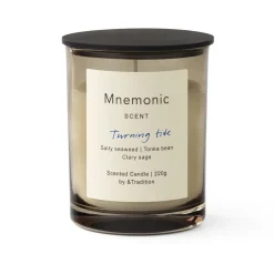 Vela aromática Mnemonic MNC5, Turning tide