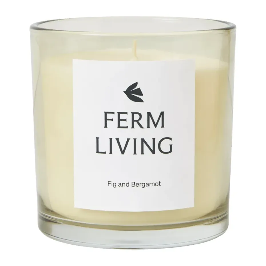 Vela aromática Vitto 45 h, Light Celedon