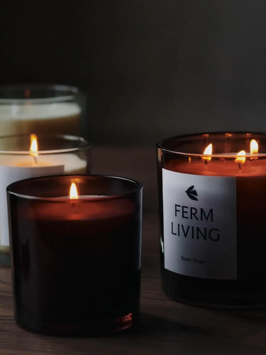 Vela aromática Vitto 45 h, Light Celedon