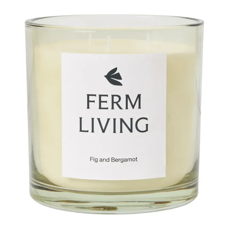 Vela aromática Vitto 50 h, Light Celedon