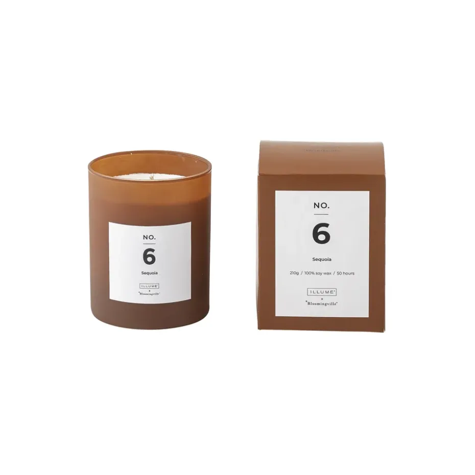 Vela perfumada NO. 6 Sequoia, 200 g + Caja regalo
