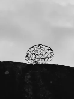 Wirkkala Ice platter art piece Ø13,5 cm, transparente